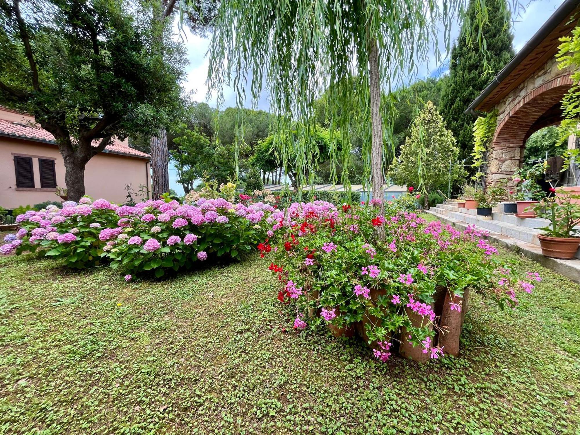 Villa La Rosa Dei Venti 'Scirocco' Casale Marittimo Esterno foto